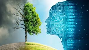 Yapay Zekâ Çağında Ağaca Takılan Bürokrasi