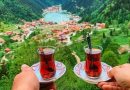 Terapi Tur’dan Karadeniz Yaylaları ve Batum Turu